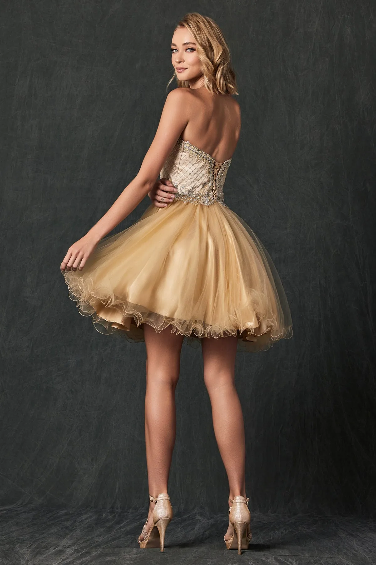 Beaded Sweetheart Top Tulle Skirt Short Cocktail & Homecoming Dress