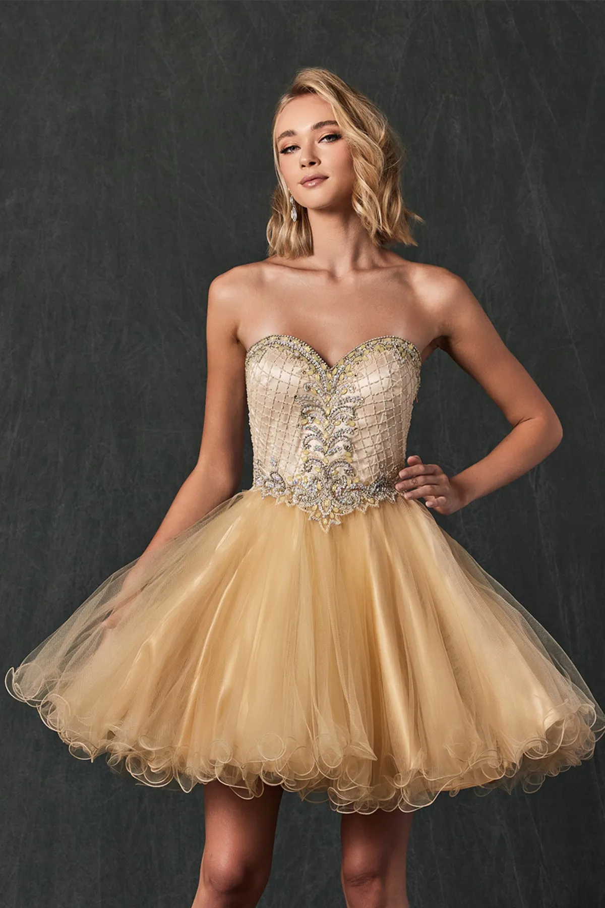 Beaded Sweetheart Top Tulle Skirt Short Cocktail & Homecoming Dress