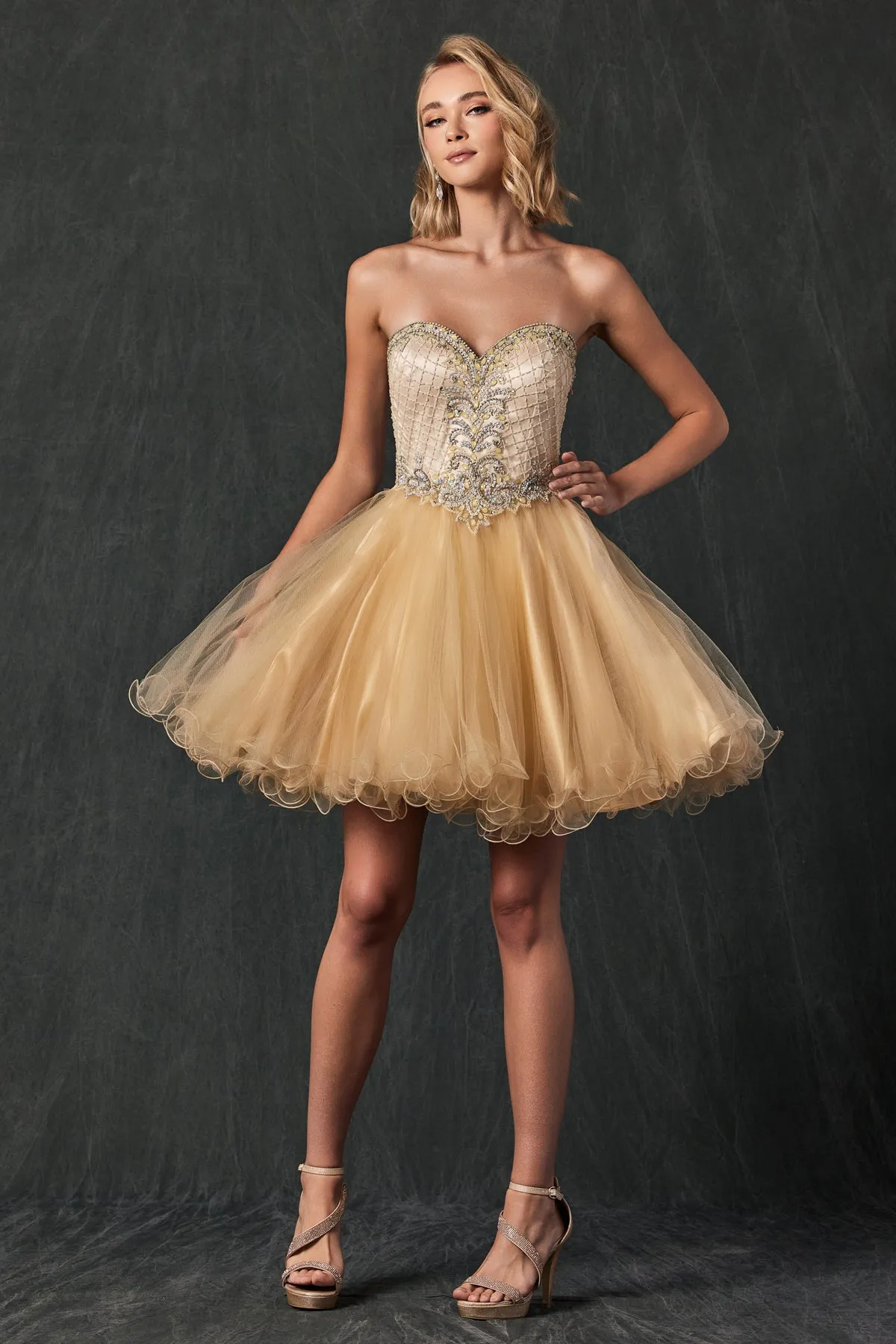 Beaded Sweetheart Top Tulle Skirt Short Cocktail & Homecoming Dress