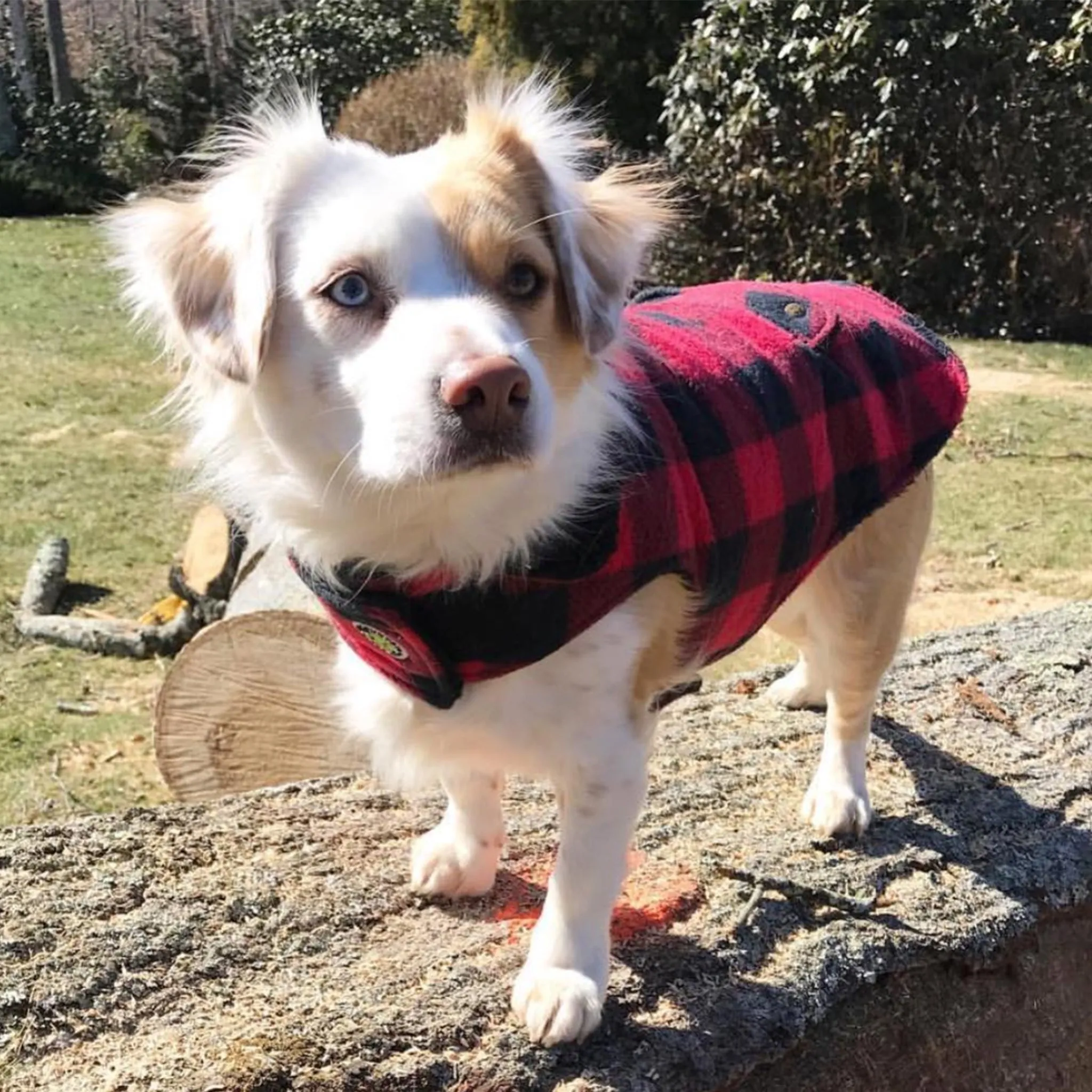 Buffalo Check Fleece Lined Coat